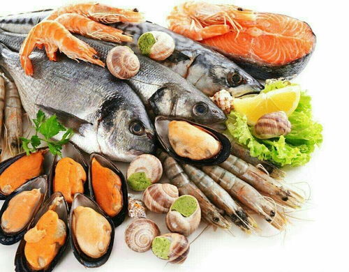 重庆肆海渔行食品贸易有限责任公司招聘信息 公司前景 规模 待遇怎么样