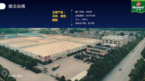 东莞华美食品集团重庆市华美月饼厂家批发部全国直发
