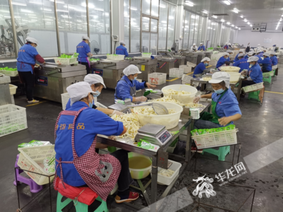 重庆特珍食品车间内,工人们在加工金佛山方竹笋。华龙网记者 伊永军 摄
