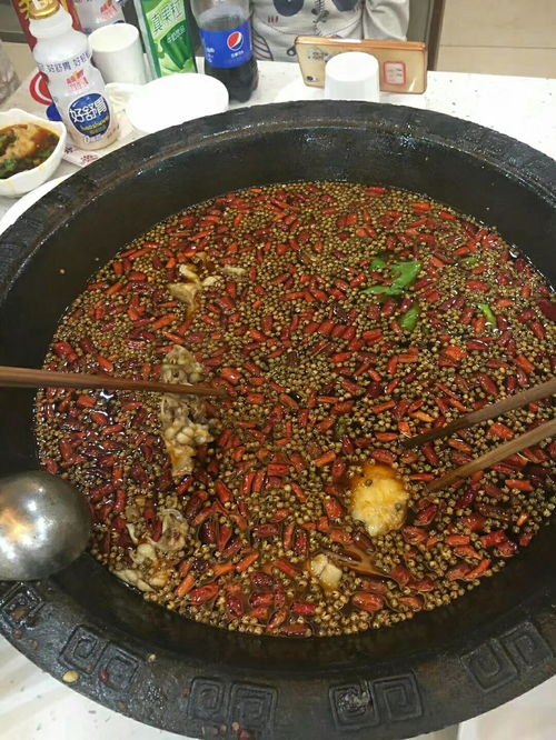 哔哩哔哩专栏