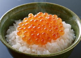 美味食品24459