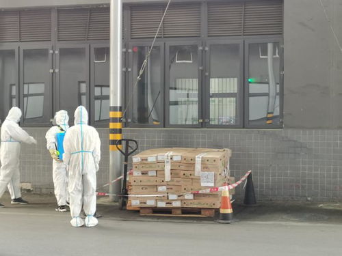 重庆市璧山区开展进口冷链食品疫情防控应急演练