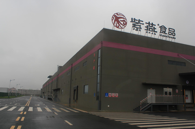 重庆紫川食品