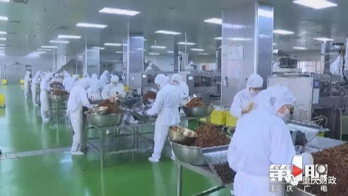 重庆 政府过 紧日子 老百姓过 好日子